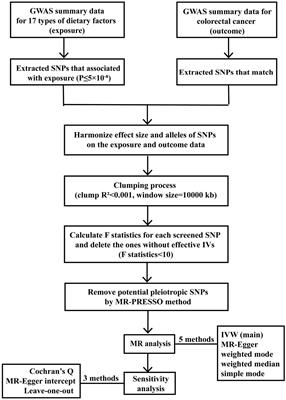 Causal associations between dietary factors and colorectal cancer risk: a Mendelian randomization study